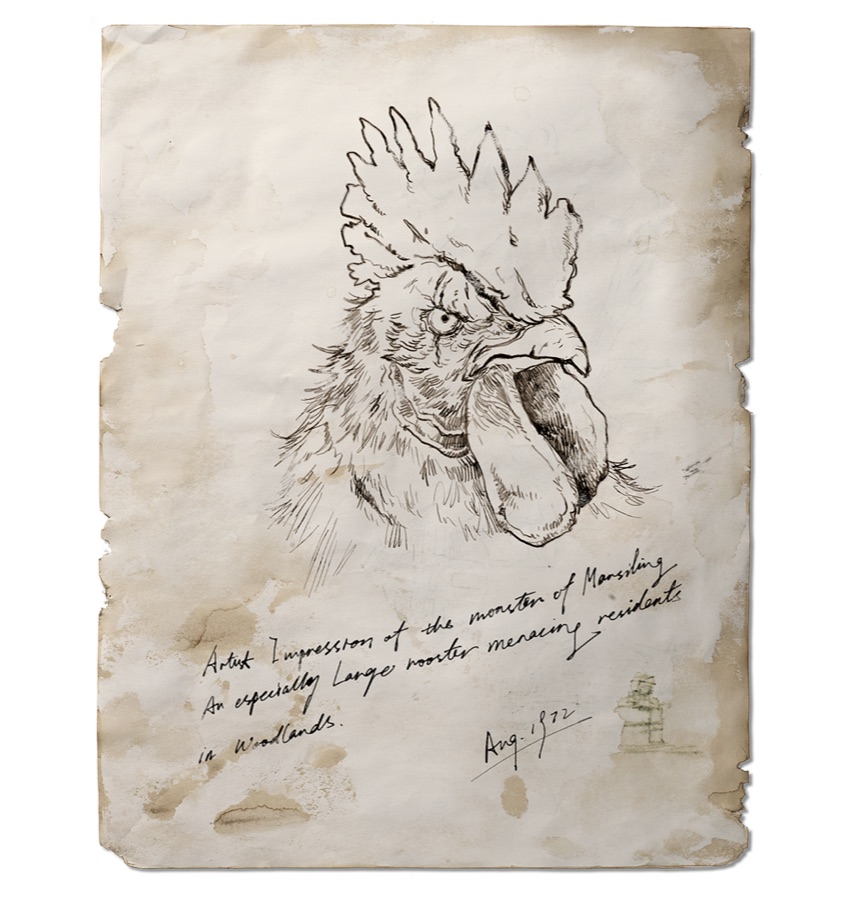 The Chicken Whisperer