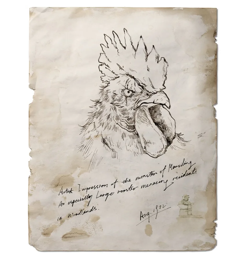 The Chicken Whisperer